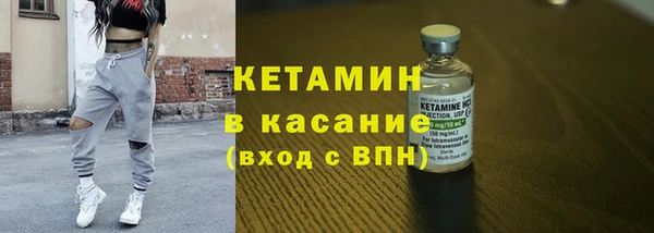 сатива Рославль