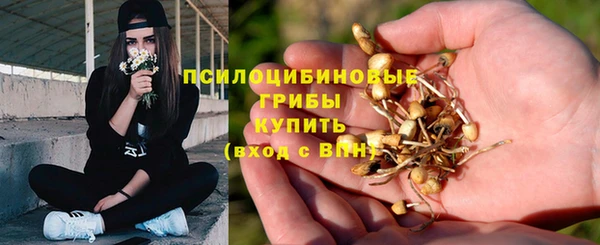 спиды Абинск