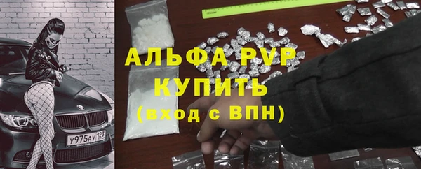 тгк Абаза