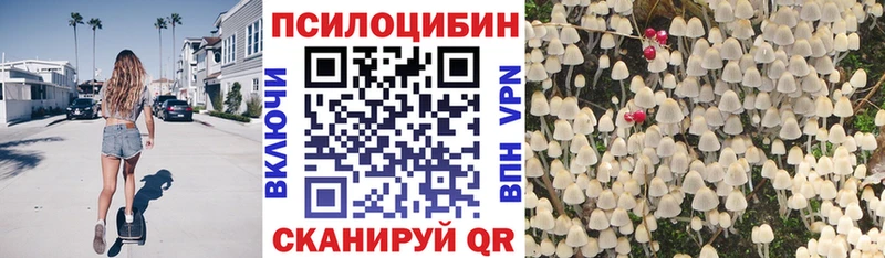 Галлюциногенные грибы Psilocybine cubensis  где купить наркотик  blacksprut как зайти  Красноармейск 