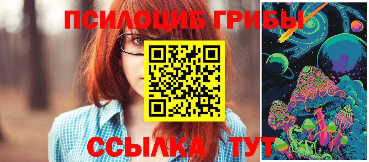 Псилоцибиновые грибы Psilocybine cubensis  Вход с VPN  Красноармейск 