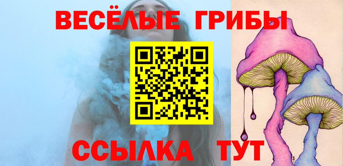 Галлюциногенные грибы Cubensis Красноармейск
